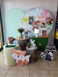Kit Festa Festa G - Bosque Menino Candy - imagem 2