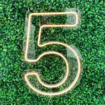 Número 5 Neon Acrílico - DecorFest