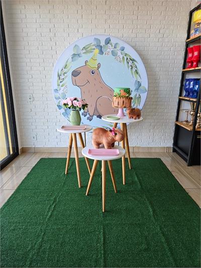 Kit Festa Facil - Capivara Menina - DecorFest
