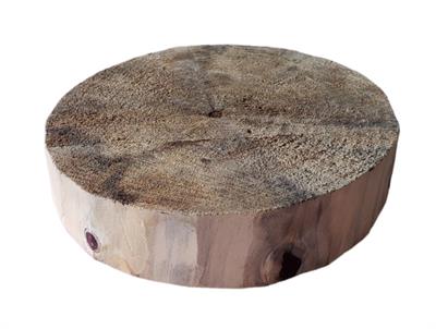 Bolacha de Tronco de Arvore P - DecorFest