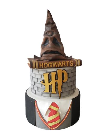 Bolo Harry Potter - DecorFest