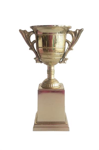 Trofeu Taça - DecorFest