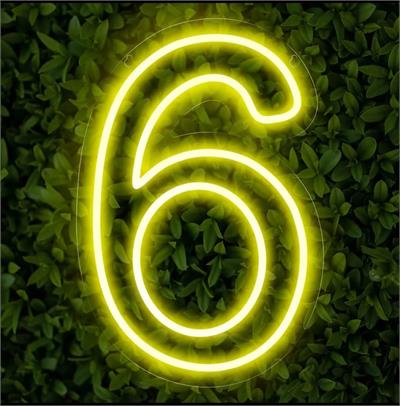 Número 6 Neon Acrílico - DecorFest