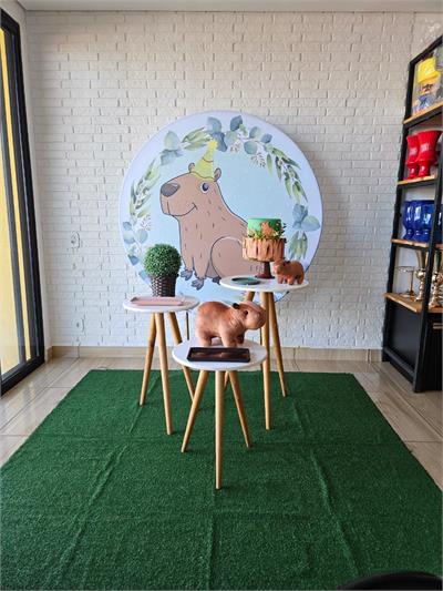 Kit Festa Facil - Capivara Menino - DecorFest