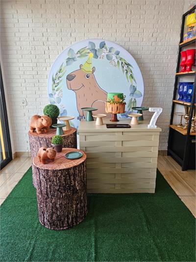 Kit Festa Facil M - Capivara Menino - DecorFest