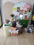 Kit Festa Festa G - Bosque Menino Candy - imagem 1
