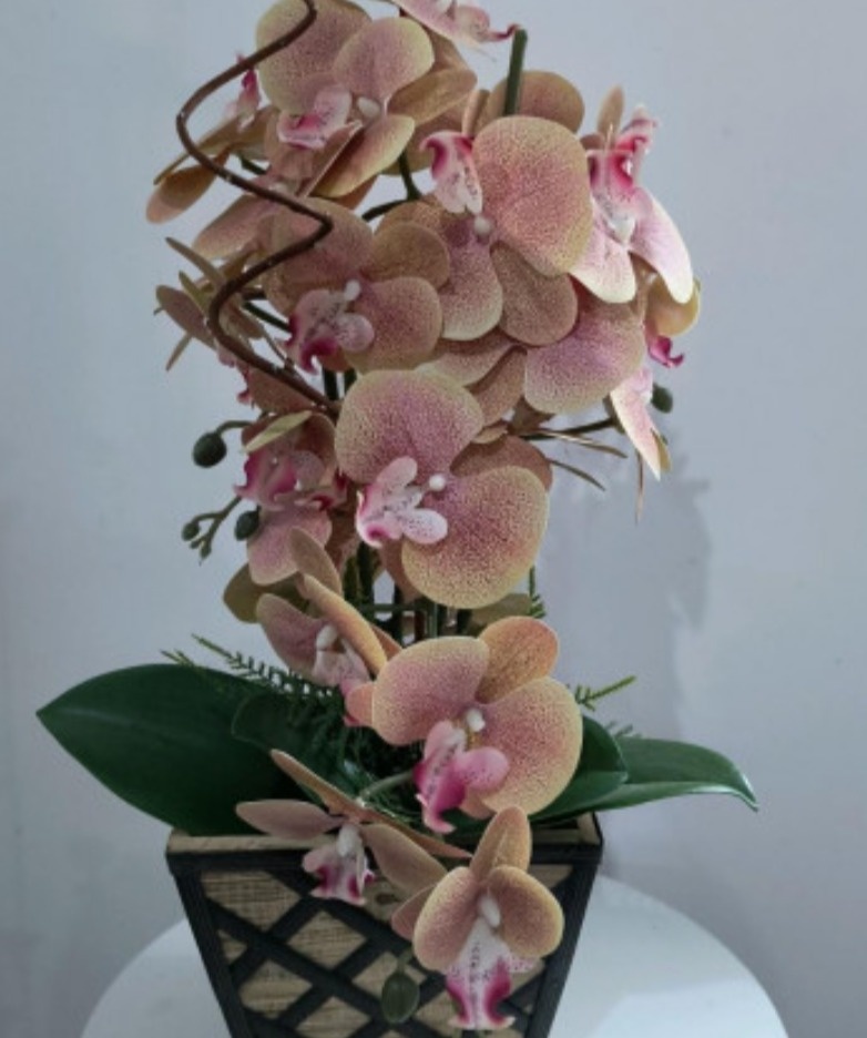 Vaso de Orquídeas - repfestas