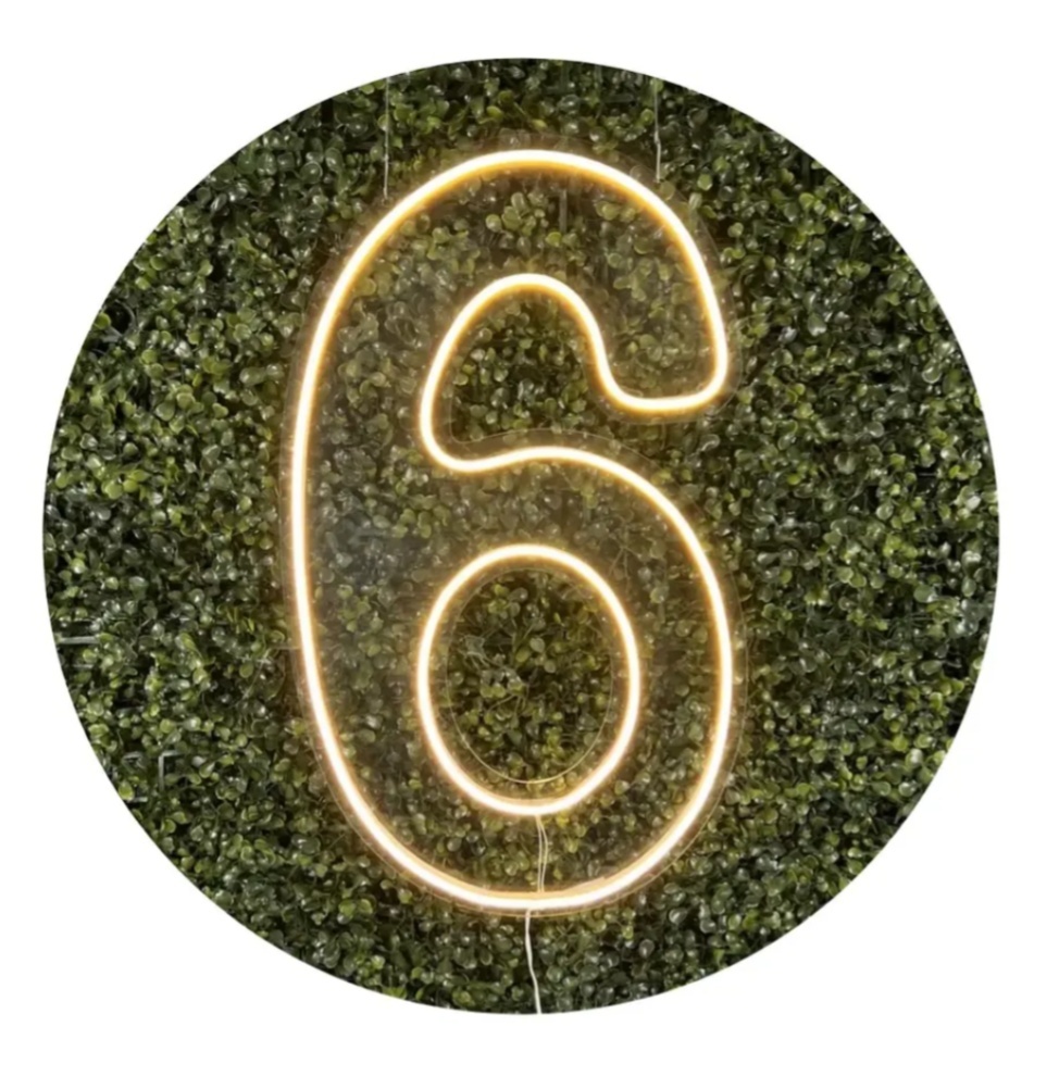 Número 6 de Led - repfestas