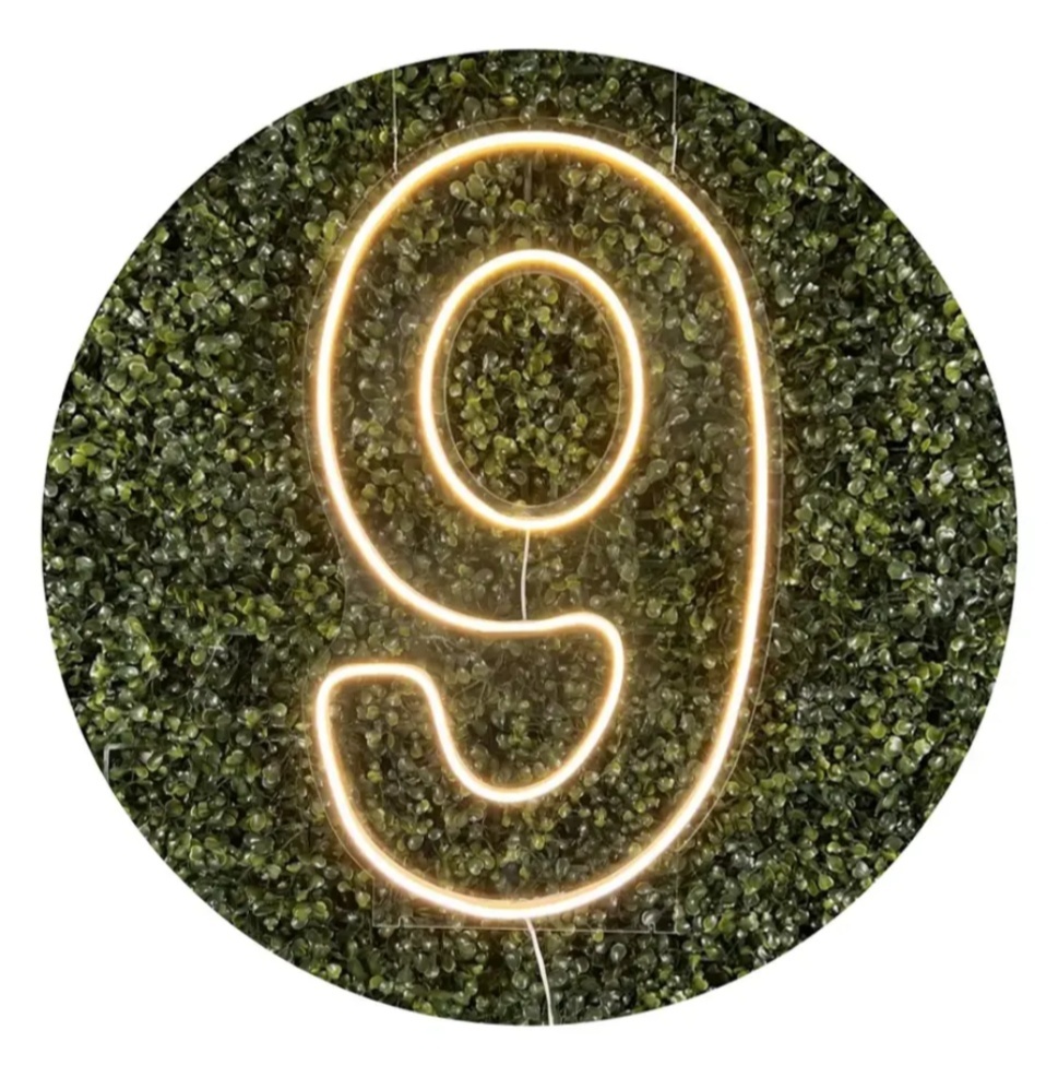 Número 9 de Led - repfestas