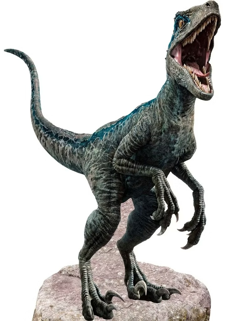 Dinossauros (Blue) - Display de Chão - Cuca Maluca Festas