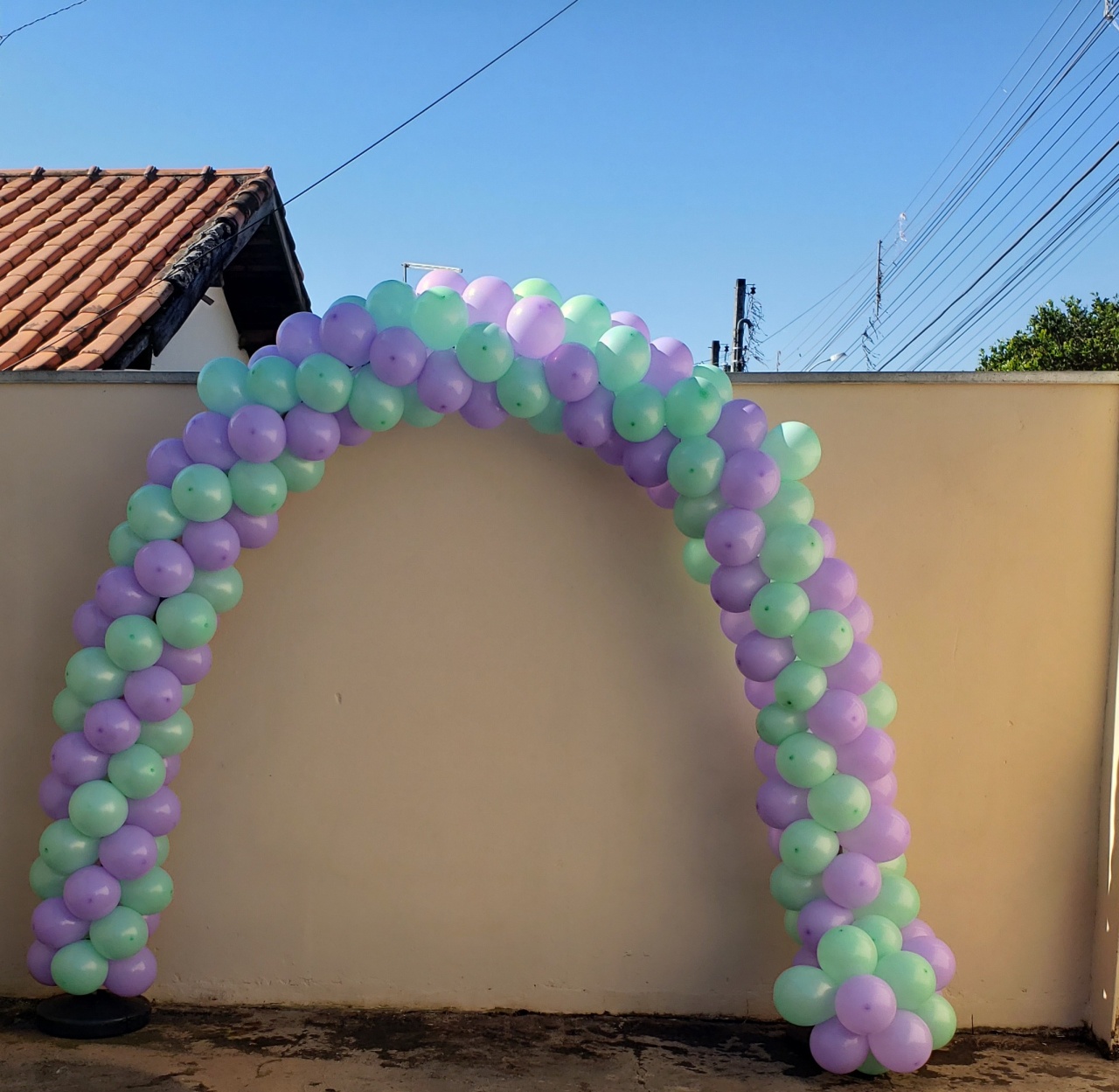 Arco Loja 01 - a Bela e a Fera Locação de decorações e brinquedos