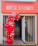 Arco Loja 02 - imagem 2