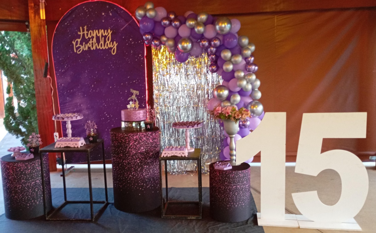 15 Anos 05 - a Bela e a Fera Locação de decorações e brinquedos