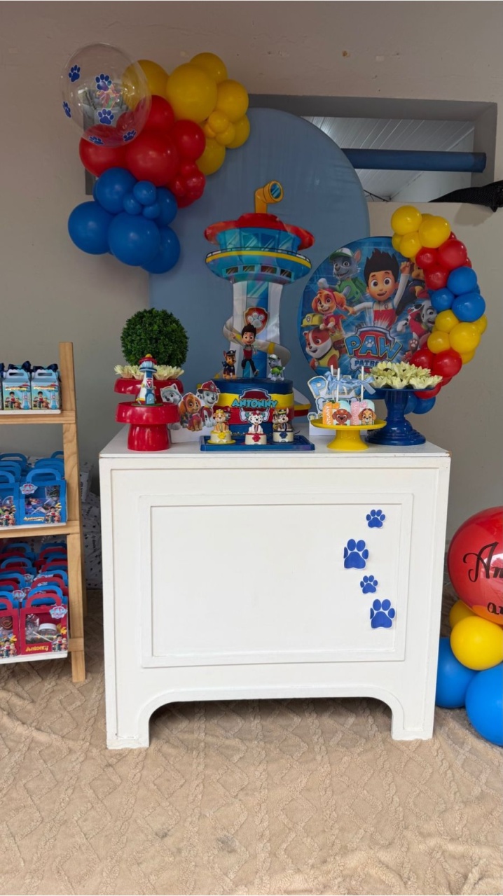 Patrulha Canina 2 - Ray Ray Festas