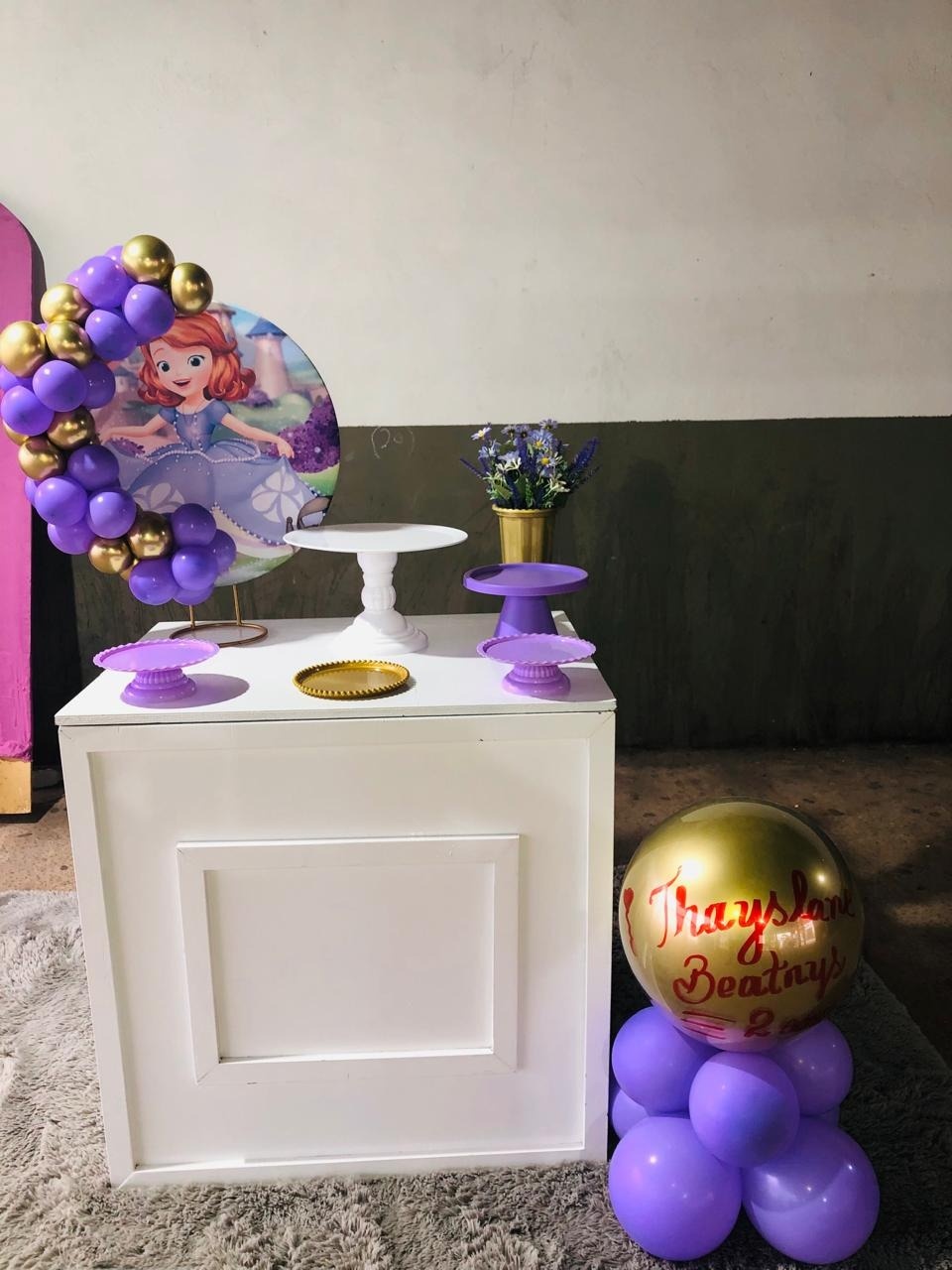 Kit Princesa Sofia - Ray Ray Festas