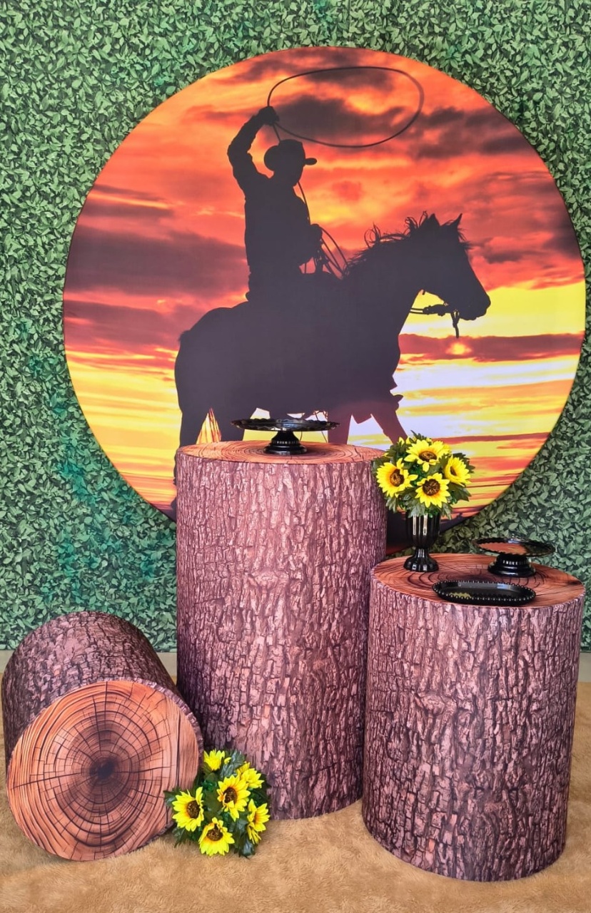Boiadeiro - Sua Festa Pegue e Monte