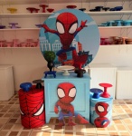 Homem Aranha 3 - imagem 6