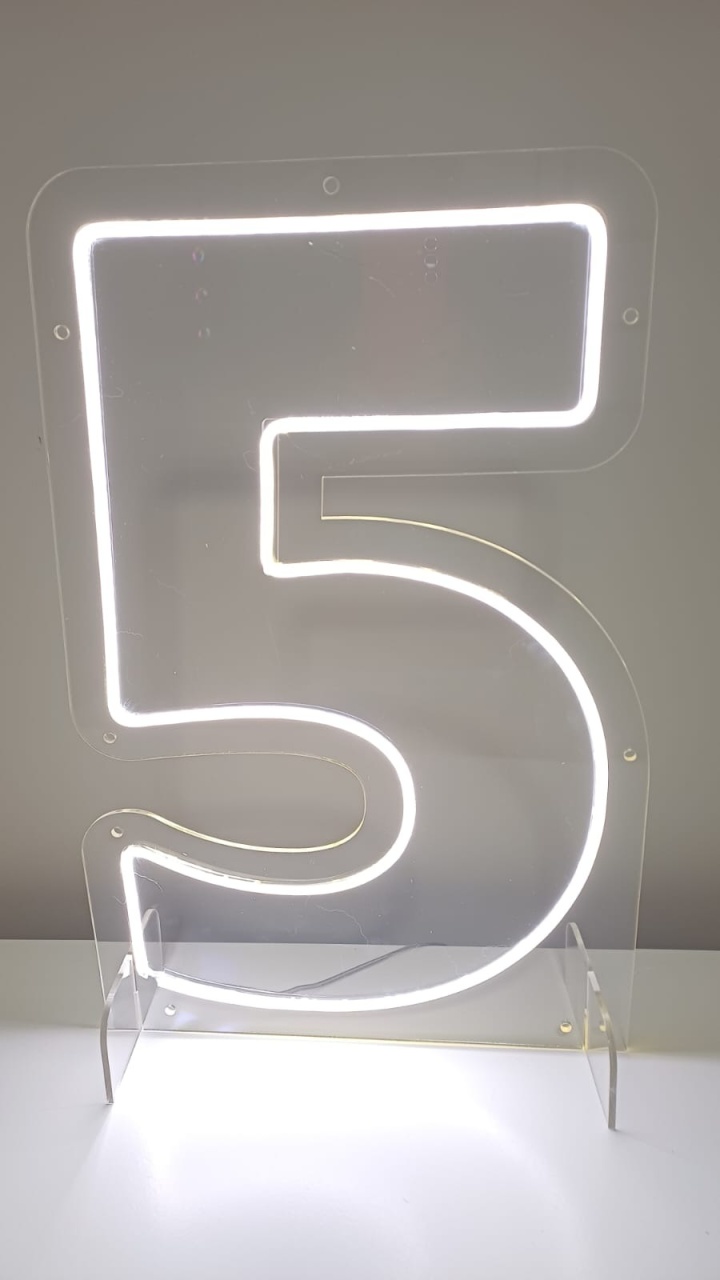 Número 5 - Magia e Diversão 