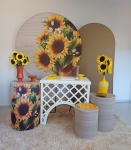  Kit Diamante - Girassol - imagem 2