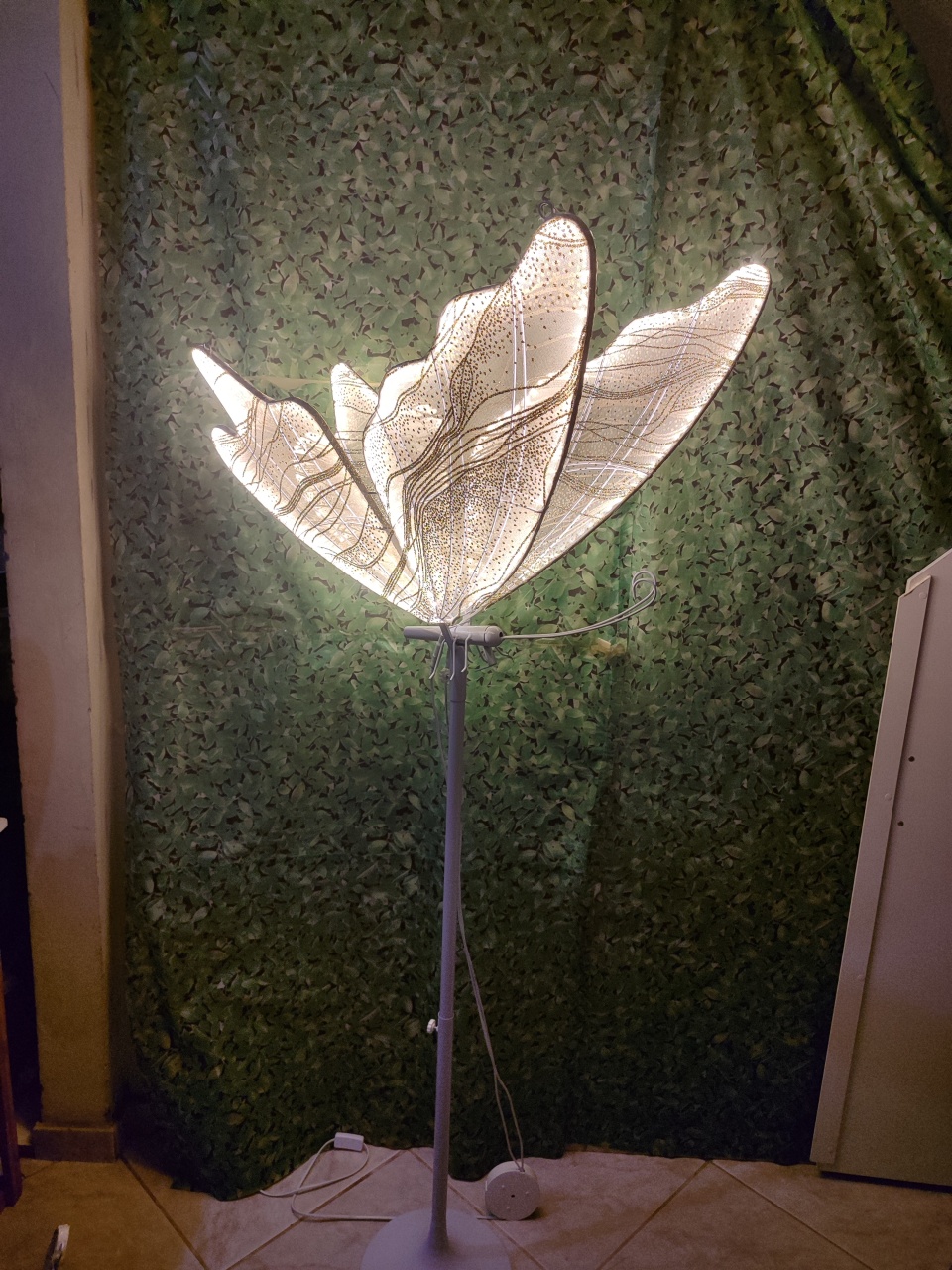 Borboleta Fixa Led - Roberta Locações 