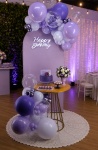 Kit Roxo de Luxo /Adulto - imagem 1
