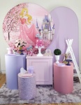 Princesa Aurora Kit G  - imagem 2