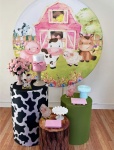 Fazendinha Para Menina Kit P - imagem 2