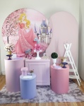 Princesa Aurora Kit G  - imagem 3