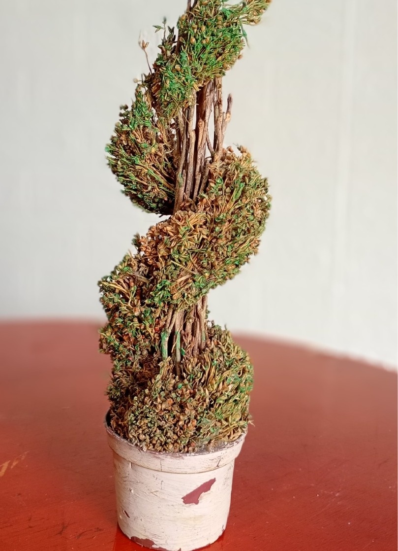 Mini Árvore  - Fulô Decor 