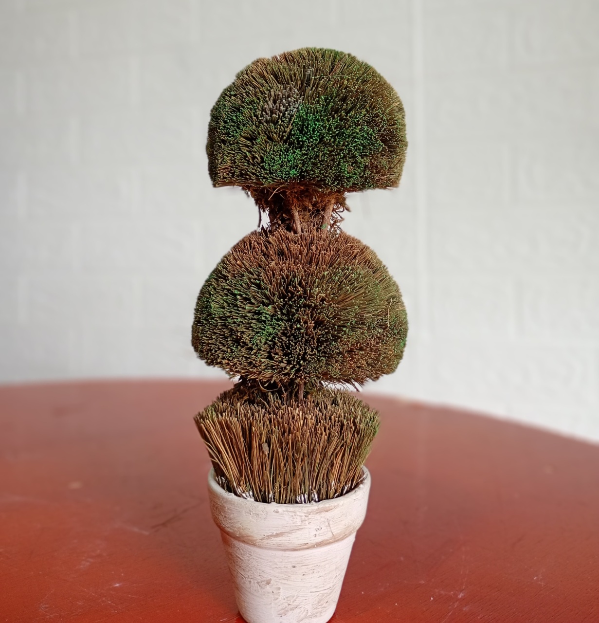 Mini Árvore  - Fulô Decor 