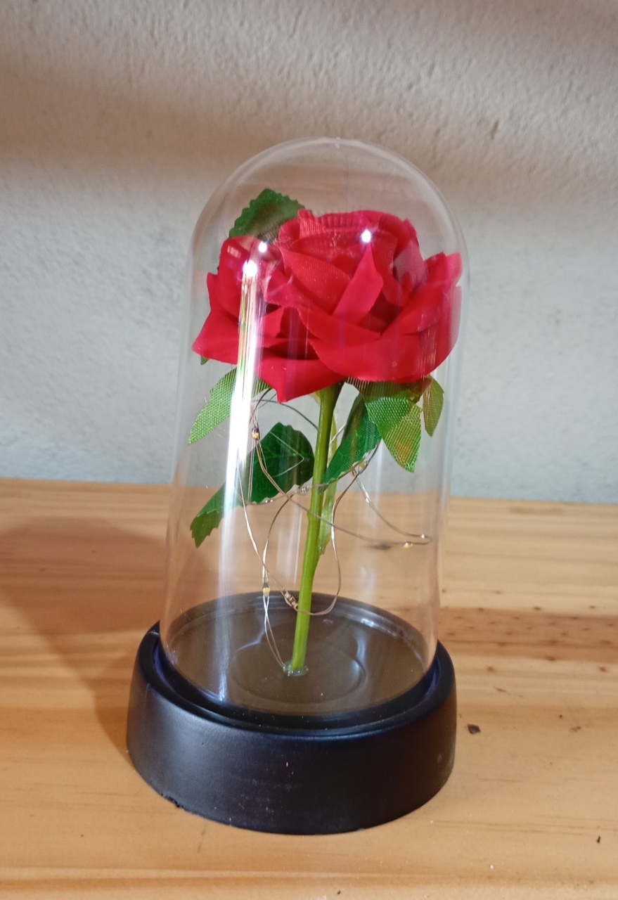 Cúpula Com Flor - Fulô Decor 