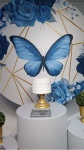 Kit Bronze Borboleta Azul - imagem 2