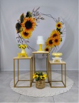 Kit Girassol - imagem 1