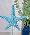 Kit Luxo Fundo Do Mar Adulto - imagem 4