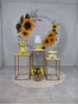 Kit Girassol - imagem 3