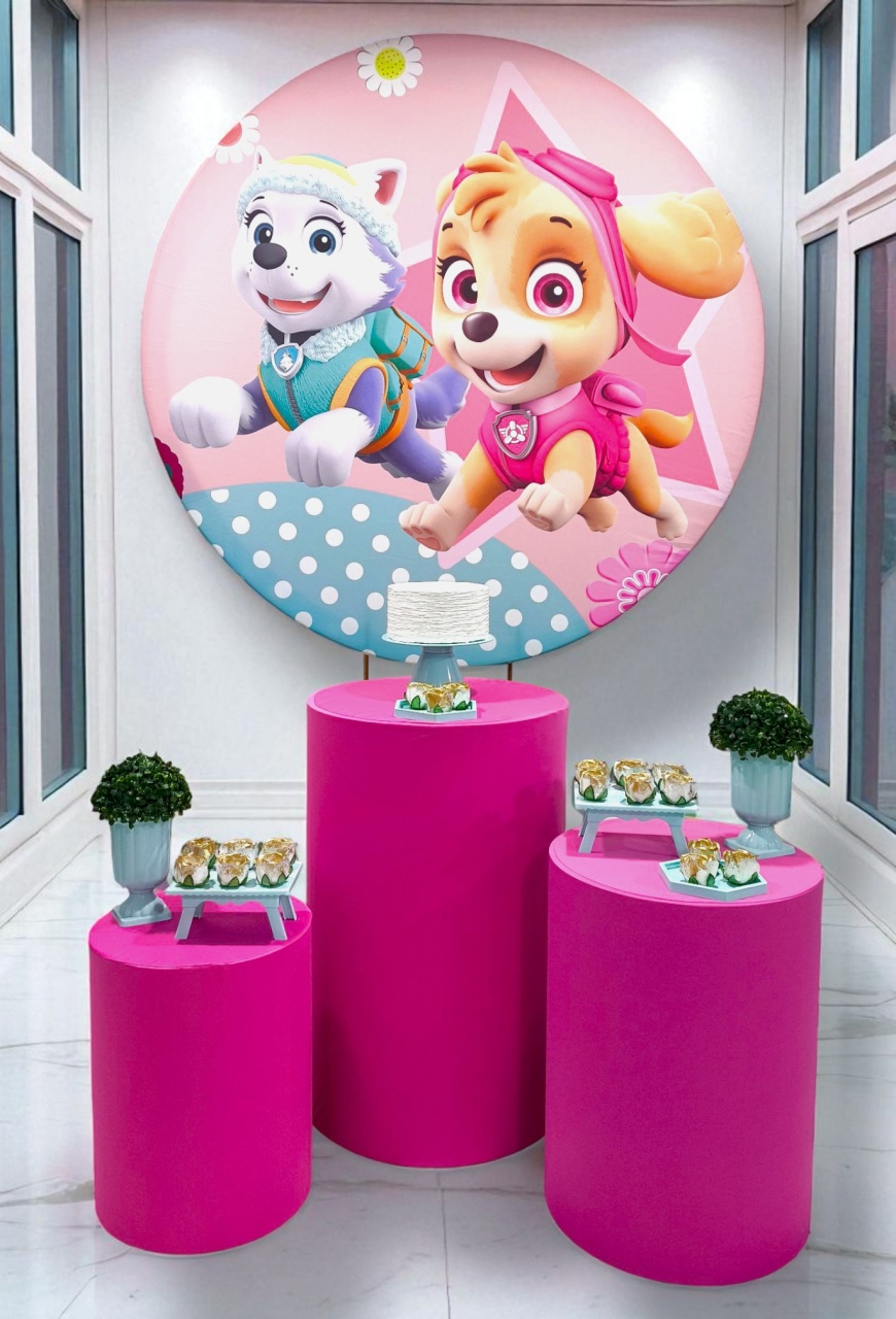 Skye E Everest (Patrulha Canina) - Kit Ouro - FestBox