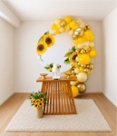 Kit Lorena Girassol - imagem 2
