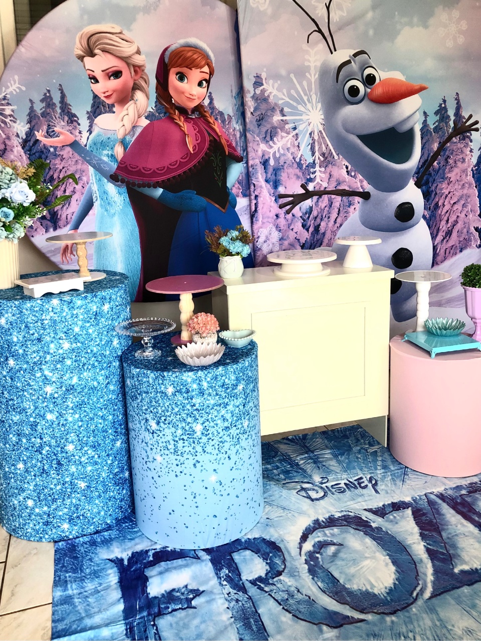 Frozen  - A casa do pegue e monte 