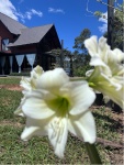 Chalé Recanto das Flores Locação Para Sua Festa Ou Um Final de Semana A Dois Ou Em Família - imagem 5