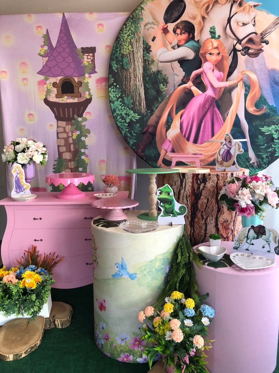 Enrolados  / Rapunzel - A casa do pegue e monte 