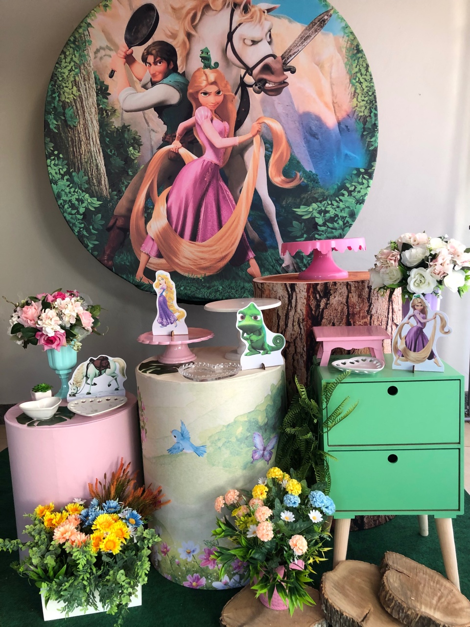 Enrolados  / Rapunzel  - A casa do pegue e monte 