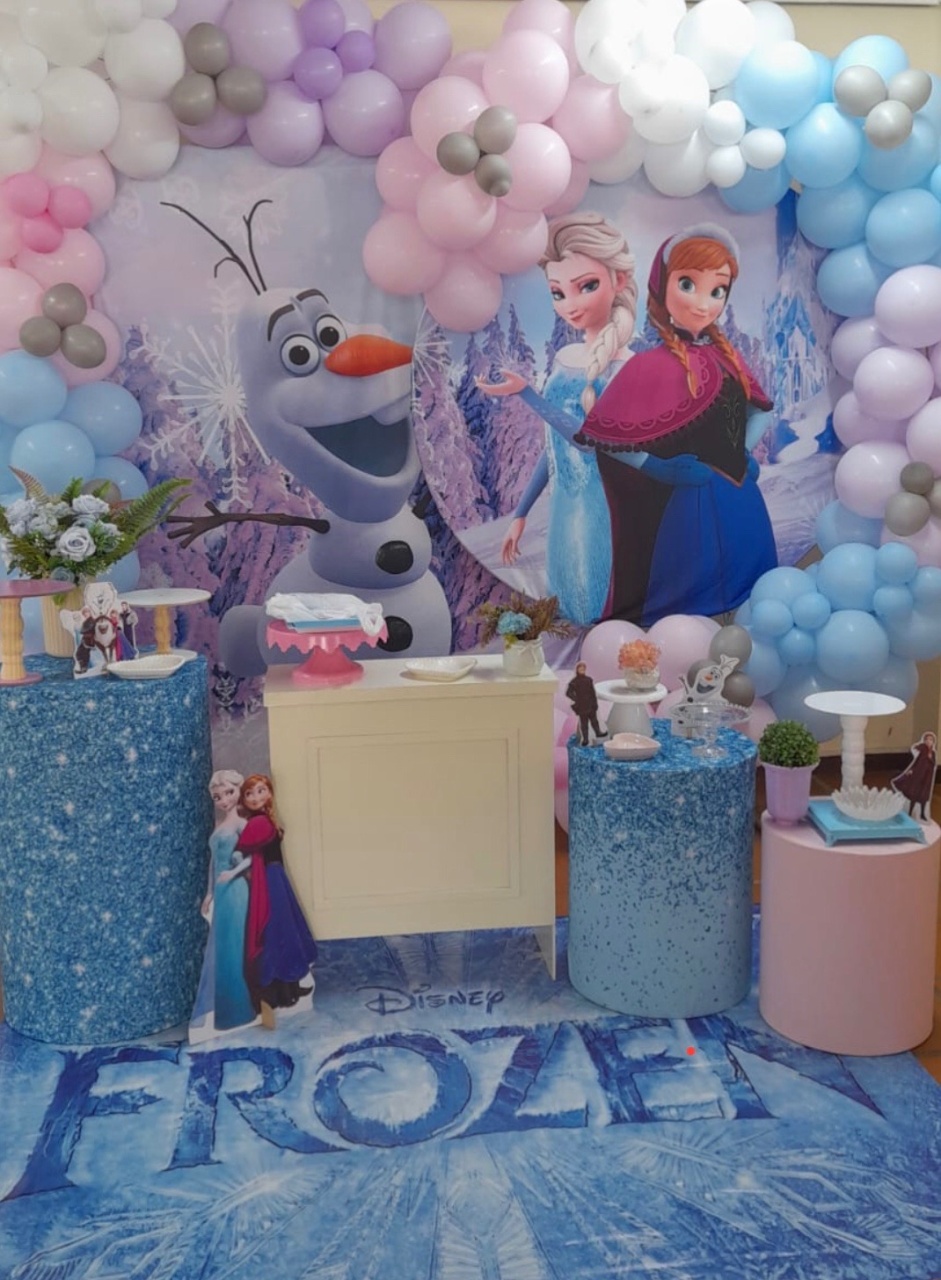 Frozen   - A casa do pegue e monte 