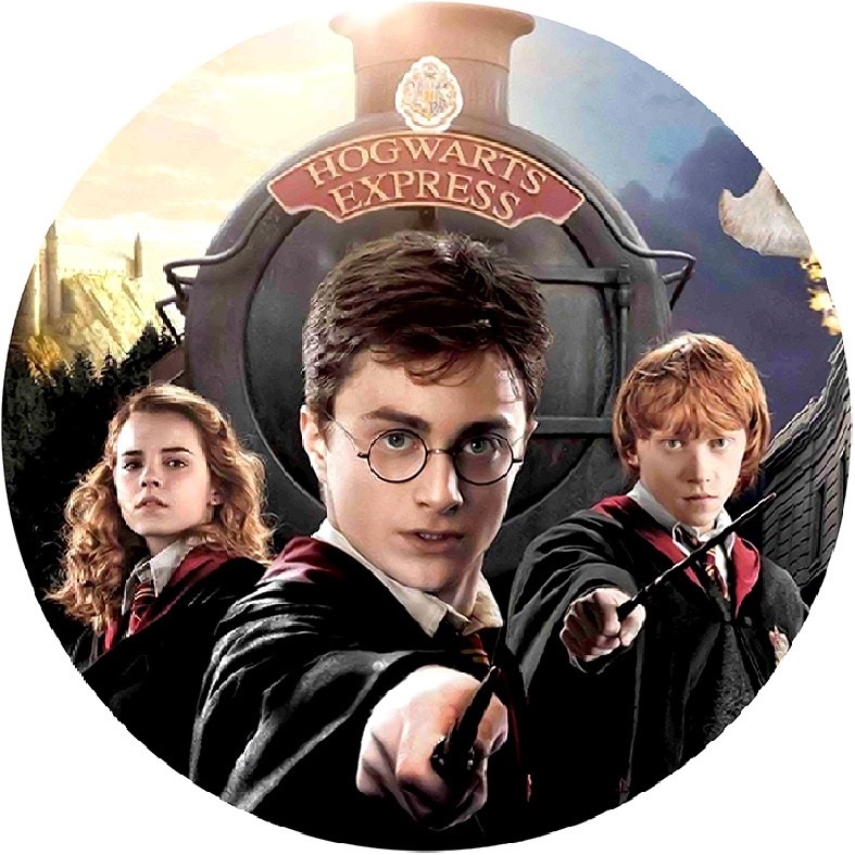 Capa Painel Harry Potter   S/ Armação de Ferro (Cópia) - A casa do pegue e monte 