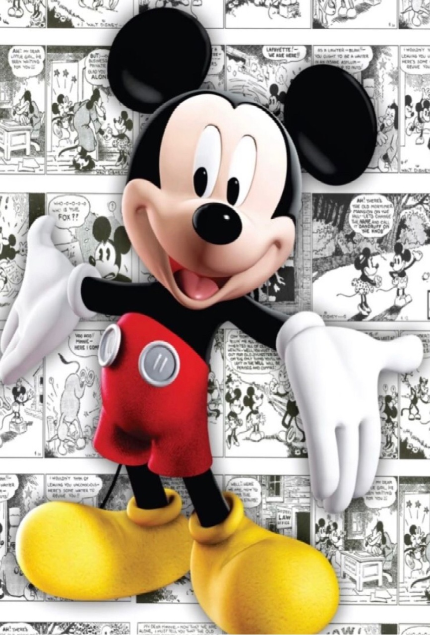 Mickey  - A casa do pegue e monte 