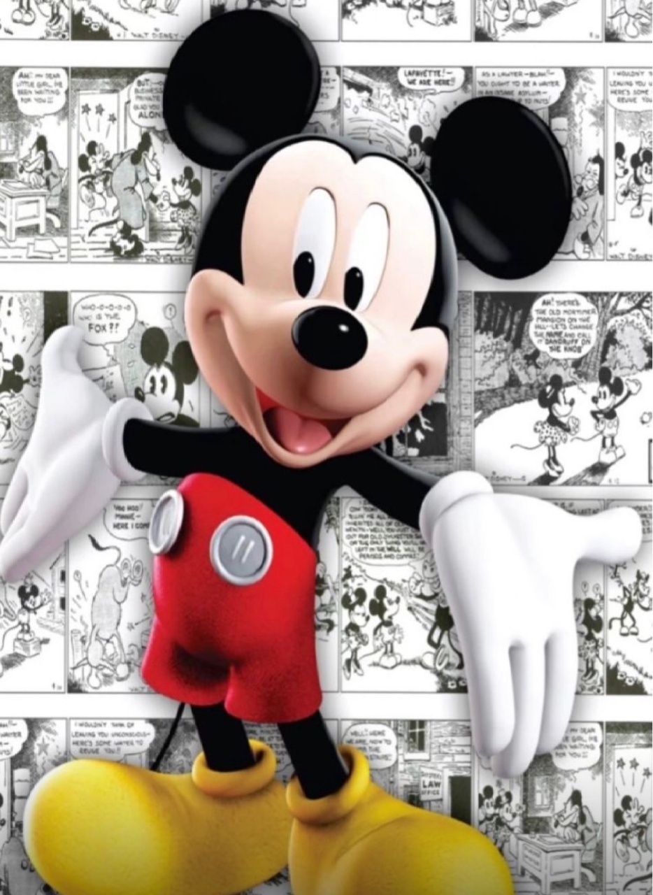 Capa Painel Mickey Retangular S/ Armação Retangular  - A casa do pegue e monte 