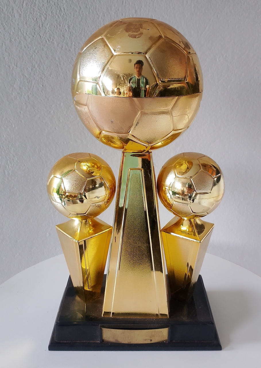 Taça de Futebol  - Lana Festas 
