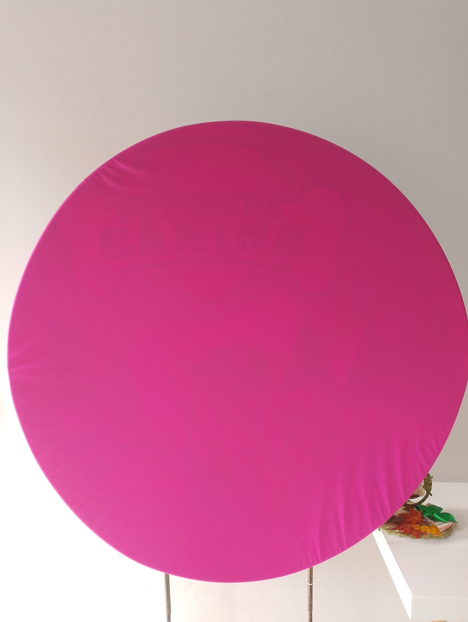 Capa Painel Redondo Rosa - Lana Festas 