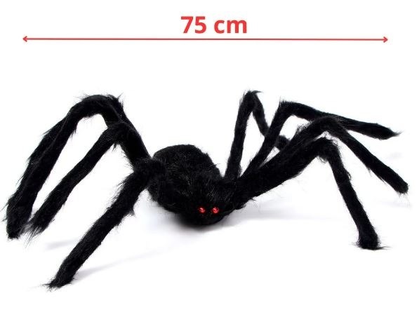 Aranha - Amanda Rocha de Azevedo