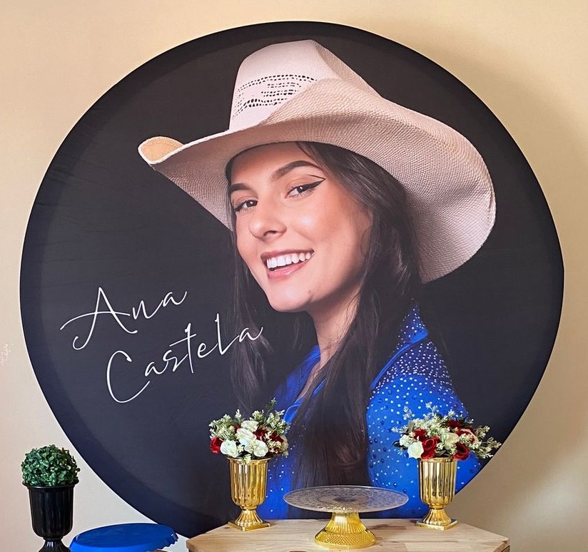 Capa de Painel Ana Castela 02 - Amanda Rocha de Azevedo