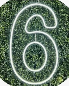 Número 6 E 9 de Led  - Amanda Rocha de Azevedo